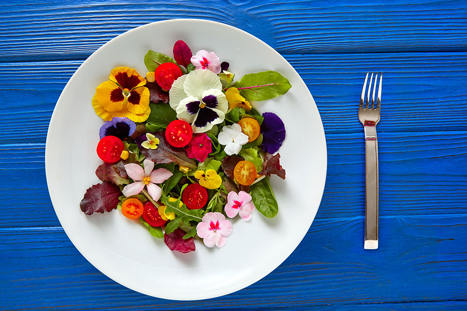Flores comestibles el Jardín en la mesa - Vivir en El Poblado